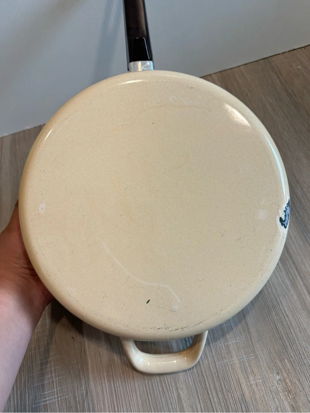 VTG Sears Merry Mushroom 10” 1 Qt Enamel Sauce Fry Pan W/ Lid MCM 70s Granny
